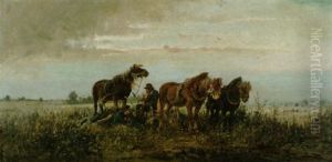 Auf Dem Feld