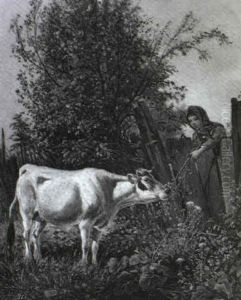 Bauernmadchen Futtert Eine Kuh by Ignaz Ellminger