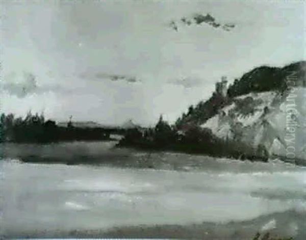 Donaulandschaft - view 1