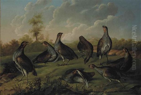 Compagnie De Perdreaux Dans Un Paysage - view 1