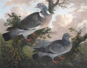Pigeons On A Branch In A Landscape; Birds In A Wooded Landscape (a Pair) by Stephen Elmer