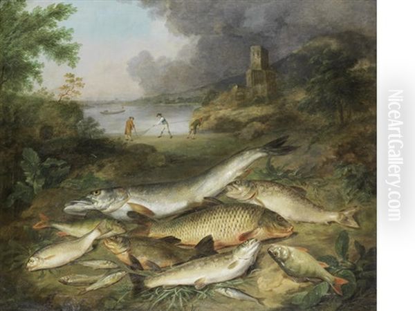 Pike, Trout, Carp, Perch And Other Fish On A River Bank - view 1