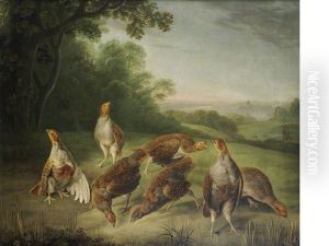 A Covey Of Partridge by Stephen Elmer