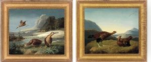 Red Grouse In A Highland Landscape (+ Woodcock In A River Landscape; Pair)