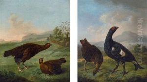Grouse (pair) Grouse (pair)