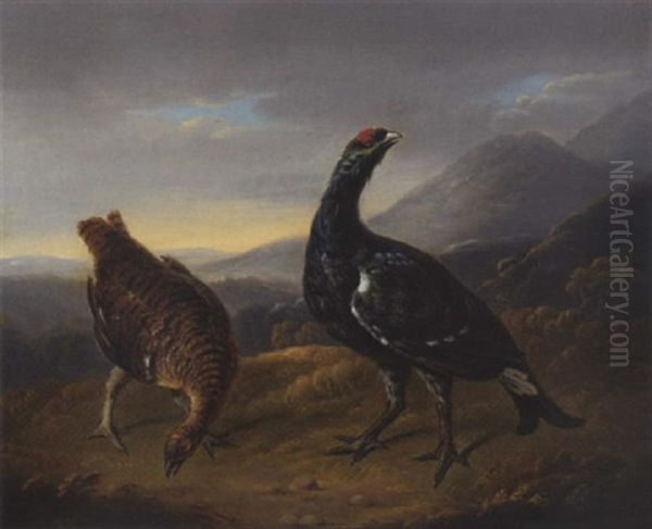 Blackcock In A Landscape - view 1