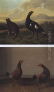Blackgame by Stephen Elmer