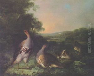 English Partridge In A Landscape