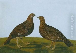 Two Partridges Two Partridges