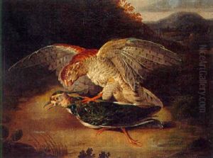 A Sparrowhawk With Prey by Stephen Elmer