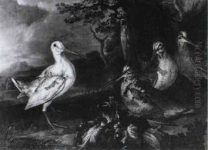 Woodcock In A Wooded Landscape by Stephen Elmer