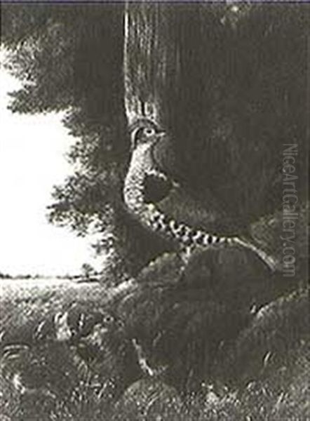 Pheasants And Chicks In A Landscape - view 1