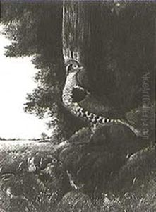 Pheasants And Chicks In A Landscape