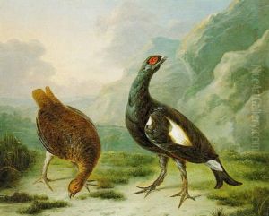 Blackgame In A Mountainous Landscape by Stephen Elmer
