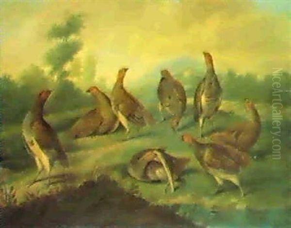 A Covey Of Partridges In An Extensive Wooded Landscape, With A House Beyond - view 1