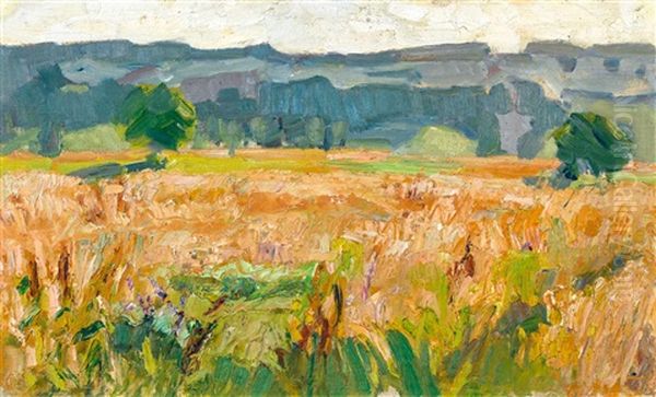 Kornfeld Nach Dem Gewitter - view 1