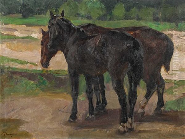 Pferde Im Freien - view 1