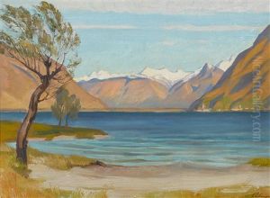 Tessiner Landschaft Mit Blick Auf Vira Gambarogno Und Mogadino