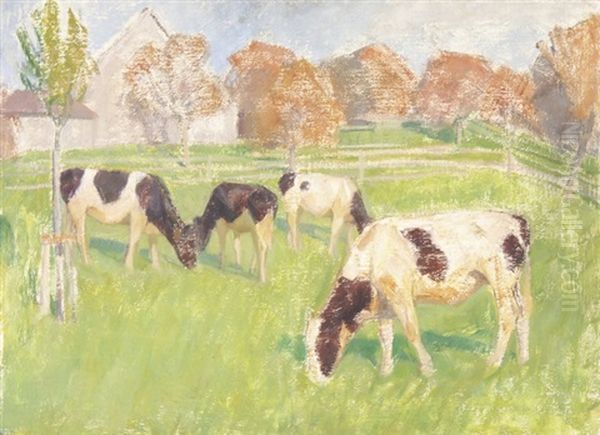 Fleckvieh Auf Der Weide - view 1