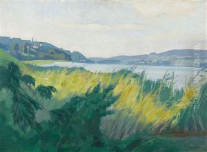 Sommer Am Hallwilersee by Franz Jakob Elmiger