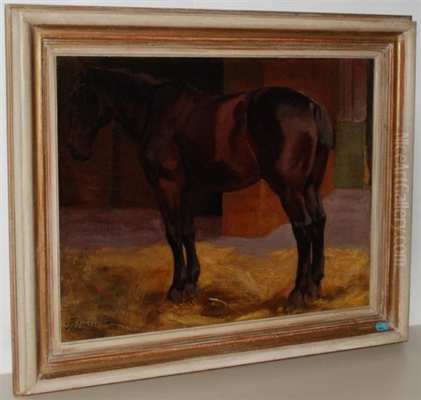 Pferd Im Stall - view 1