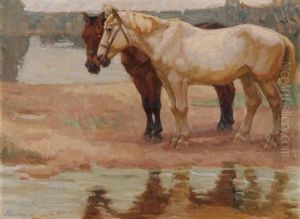 Schimmel Und Brauner Am Weiher