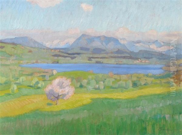 Fruhling Am Baldeggersee - view 1