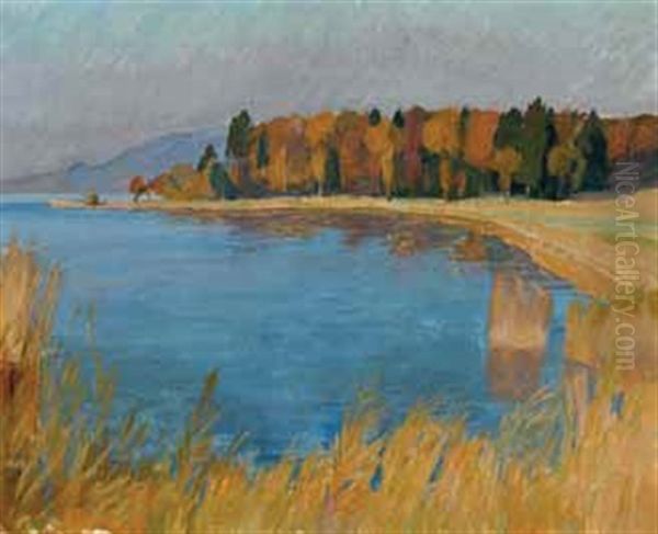 Herbst Am Hallwylersee - view 1