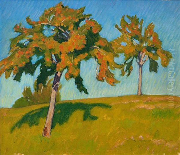 Obstbaume - Schlagschatten Auf Wiese - view 1