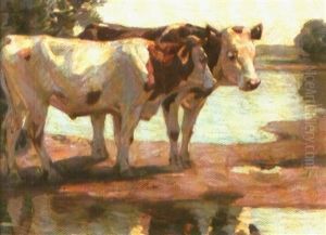 Zwei Rinder An Ufer