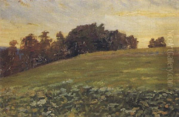 Sommerwiese Bei Homberg In Abendlicht - view 1