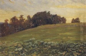 Sommerwiese Bei Homberg In Abendlicht