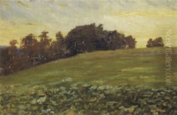 Sommerwiese Bei Homberg Im Abendlicht - view 1
