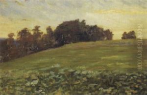 Sommerwiese Bei Homberg Im Abendlicht by Franz Jakob Elmiger