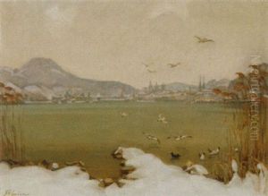 Winterlandschaft Mit Sicht Auf Luzern