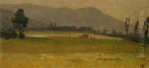 Weite Landschaft Weite Landschaft