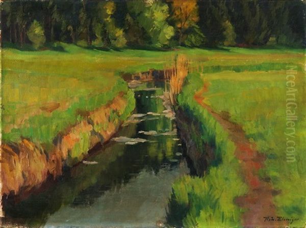 Wiesenlandschaft Mit Bach - view 1