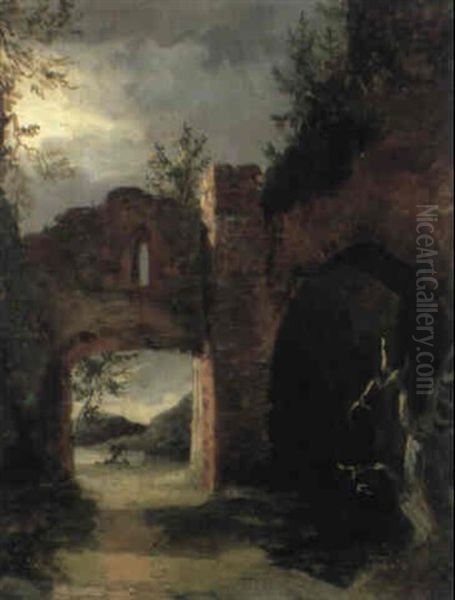 Bewachsene Alte Ruine - view 1