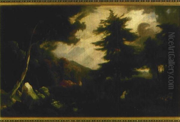 Waldlandschaft Mit Felsbrocken - view 1