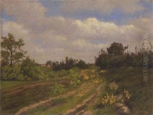 Sommerlandschaft Mit Bluhendem Ginster Sommerlandschaft Mit Bluhendem Ginster