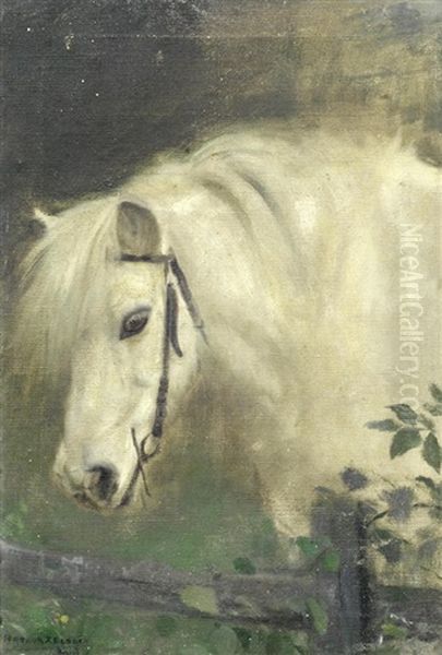 Head Of A Horse - view 1