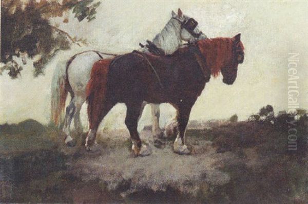 Shire Horses - view 1