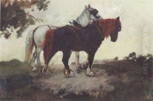 Shire Horses