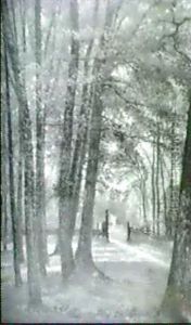 Entrance To Forest Fontainbleau From Barbizon, France by D. Jerome Elwell