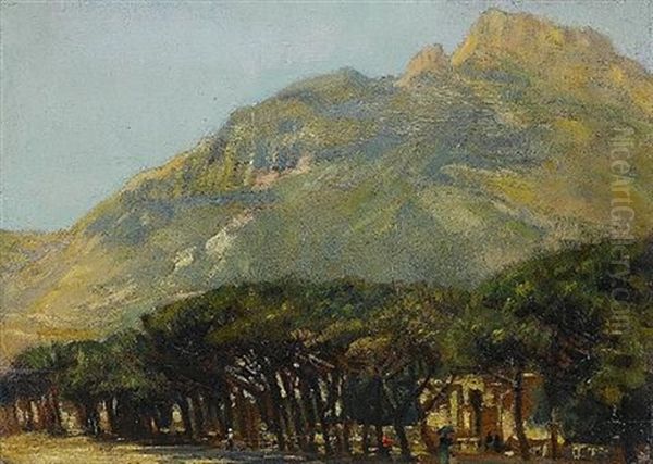Table Mountain - view 1