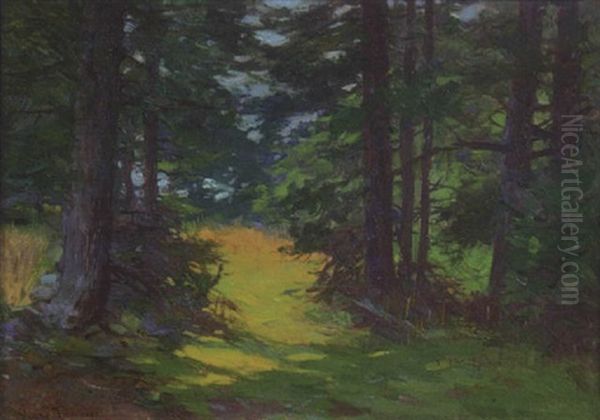 Woodland Interior - view 1