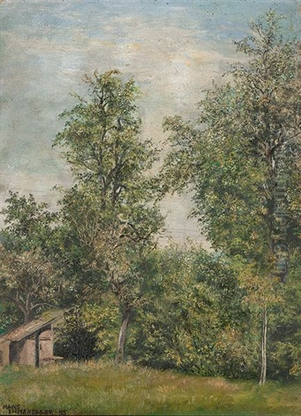 Baumlandschaft Mit Holzschopf - view 1