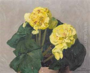 Gelbe Begonien (zwei) by Hans Emmenegger