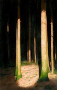 Waldinneres by Hans Emmenegger