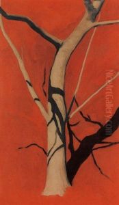 Feigenbaum Vor Roter Erde by Hans Emmenegger